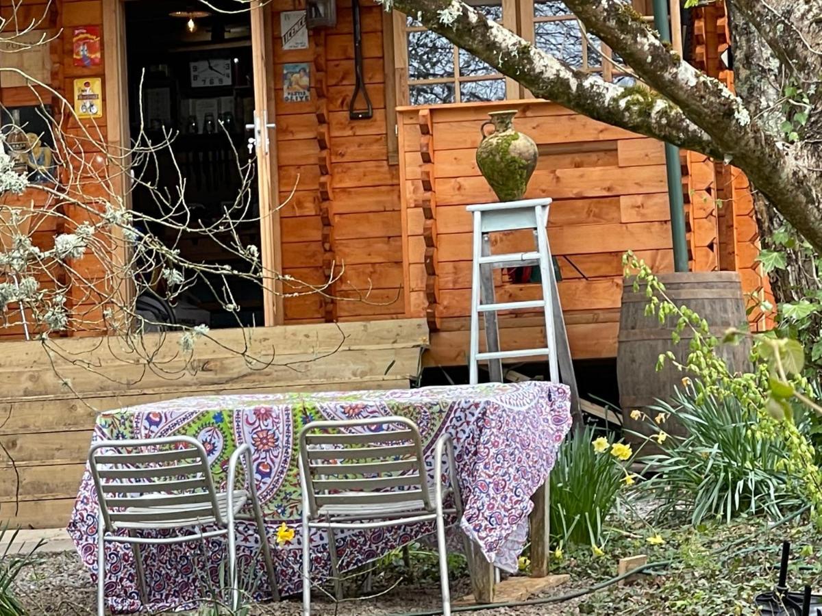Retro Private Lodge With Hot Tub Nr Dartmoor Newton Abbot Exterior photo